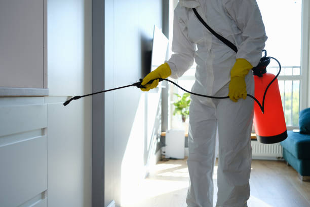 Best Crawl Space Mold Remediation in Georgetown, KY