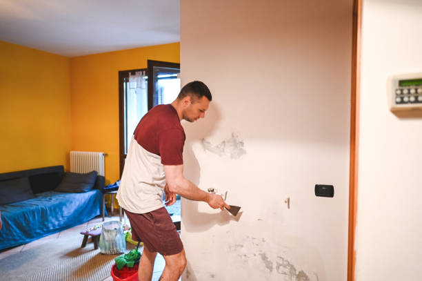 Best Preventive Mold Services in Georgetown, KY